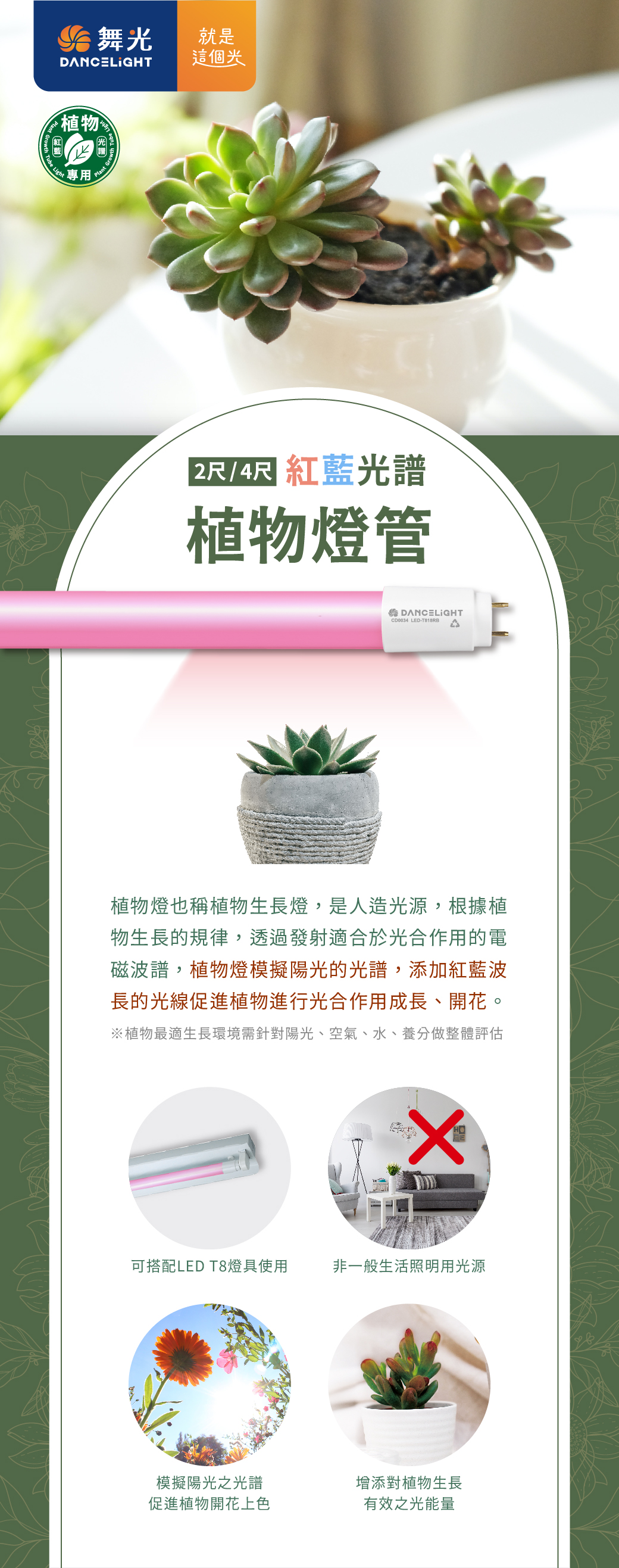 2022南區-植物燈管_官網圖文-v01_01